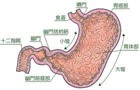 胃癌能治好吗