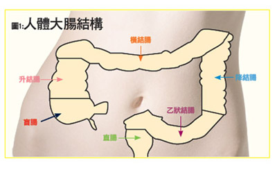 大肠癌术后的注意事项