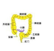 40岁以上应每年做直肠检查