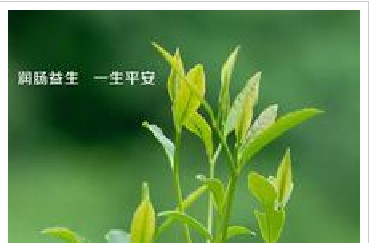 碧生源常润茶竟会诱发结肠癌