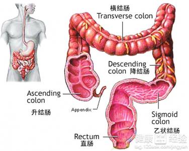 结肠癌二次术后复发转移，不能放疗，怎么办