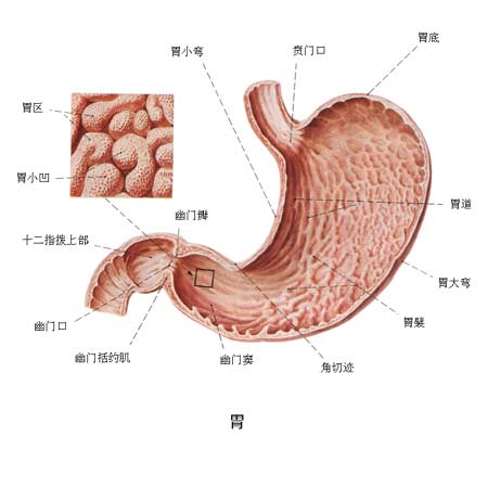 胃癌的诊断