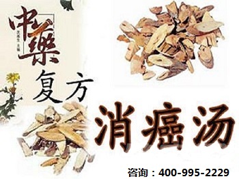中医扶正清毒抗癌疗法