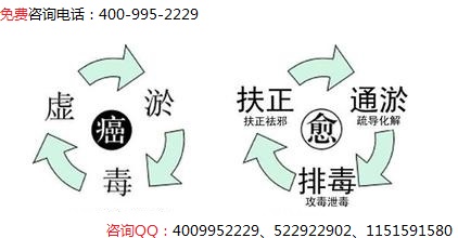 中医抗癌扶正排毒免疫疗法