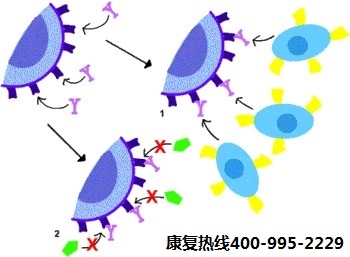逆转基因消癌疗法治疗机理流程