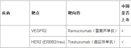 食管胃结合部癌靶向药