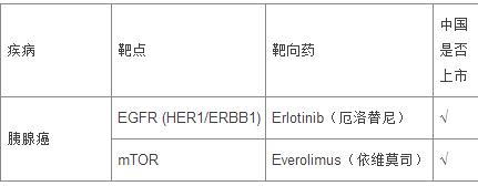 胰腺癌靶向药